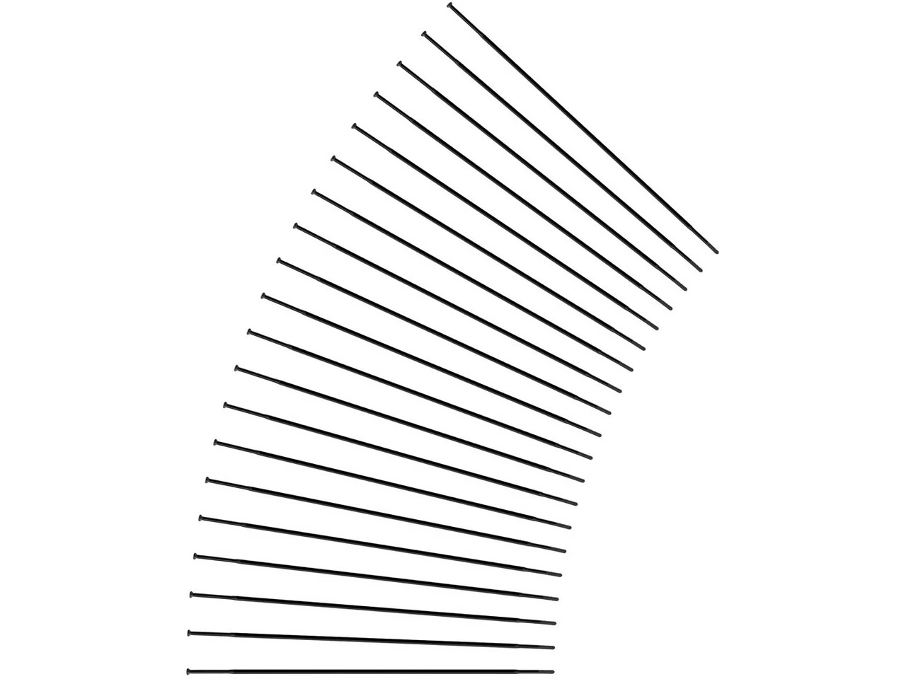 Sapim CX-Ray Straightpull Speichen + Nippel - 20 Stück - Auslaufmodell - Image 5