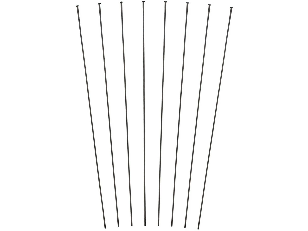 Dt-swiss Speichenkit Für HX 1501 SPLINE® 30 29"