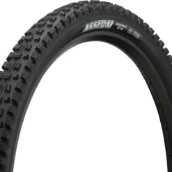 MAXXIS Assegai Dual EXO WT TR 29" Faltreifen