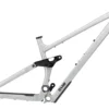 RAAW Mountain Bikes Madonna V2.2 29" Rahmenkit