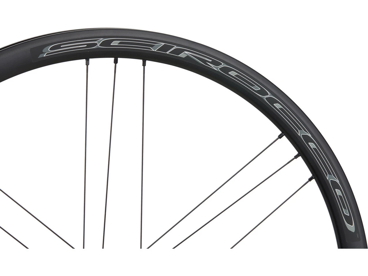 Campagnolo® Scirocco DB Disc Center Lock Laufradsatz - Image 6