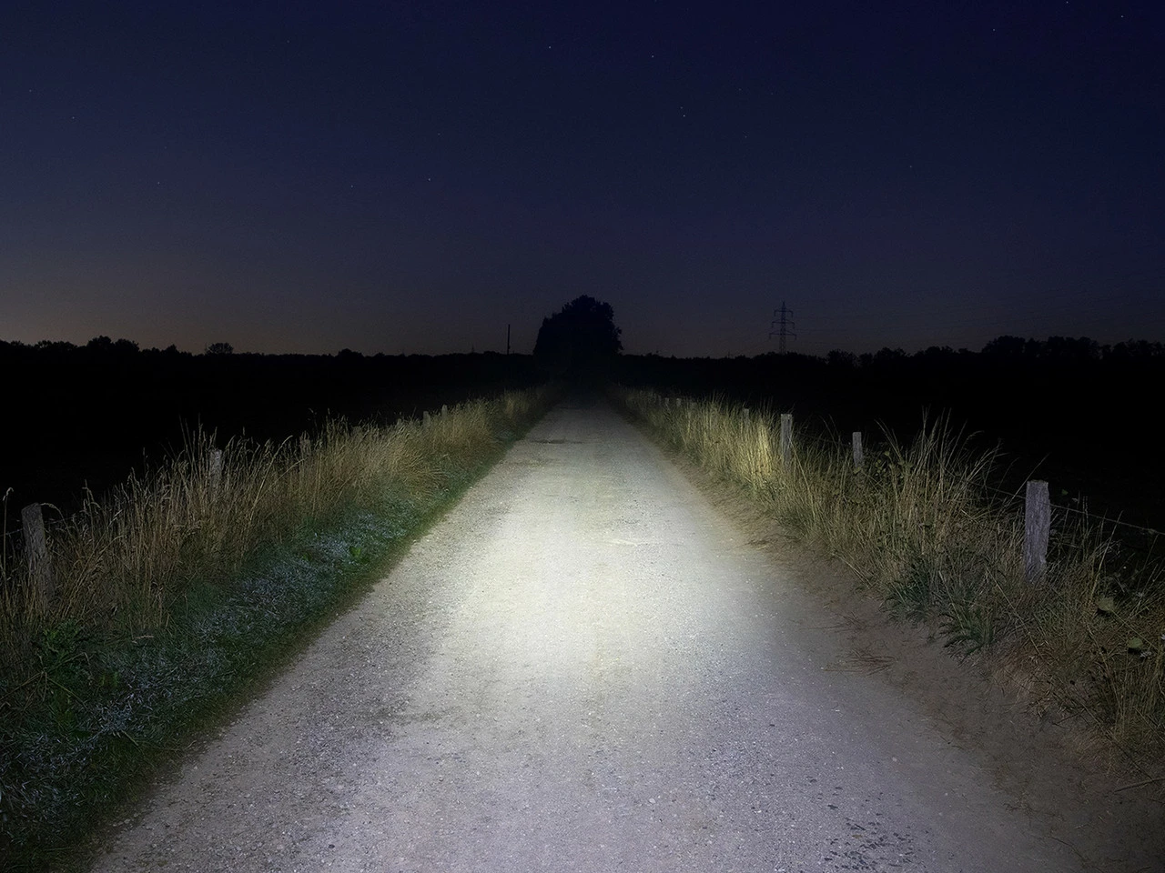 Lupine Neo Lampenkopf - Image 9