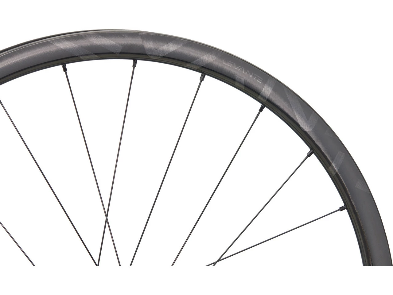 Campagnolo® Levante Carbon Disc Center Lock 28" Laufradsatz - Image 7