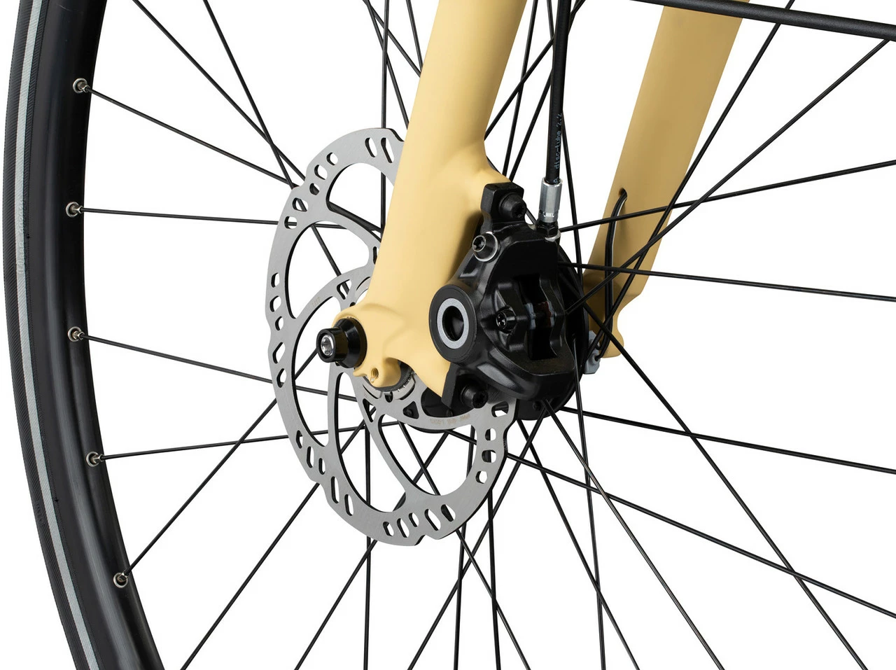 Modell 1 Campus Edition Herren Fahrrad – Bild 6